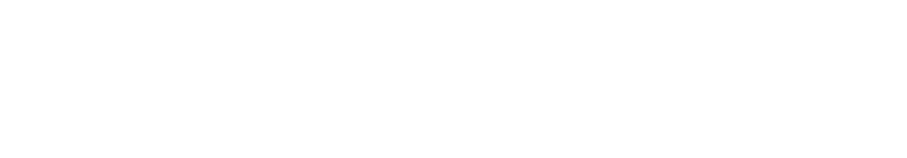 White Shopify Partners Logo