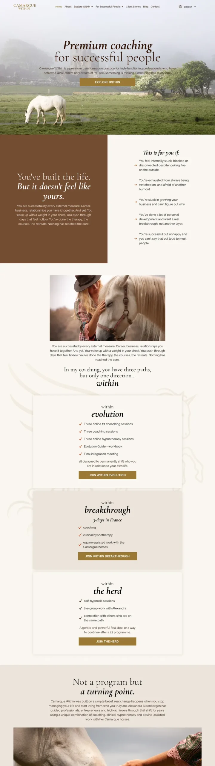 Website van Camargue Within, gemaakt door De Digitale Timmerman