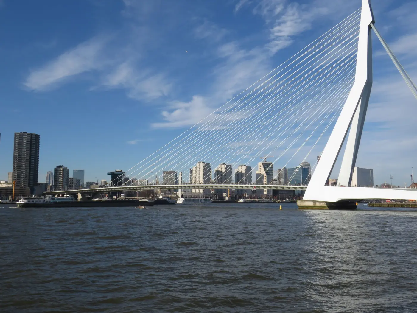 Webshop laten maken in Rotterdam: van klikken naar klanten